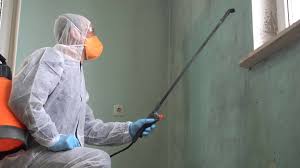 Mold Odor Removal Services in St Augustine, FL