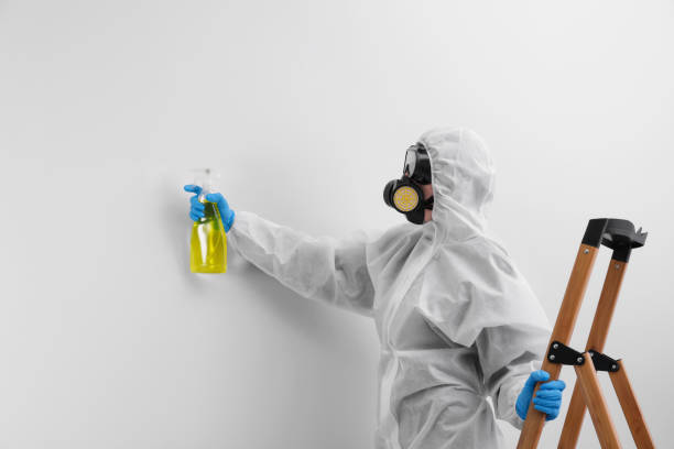 Mold Remediation for Rental Properties in St Augustine, FL