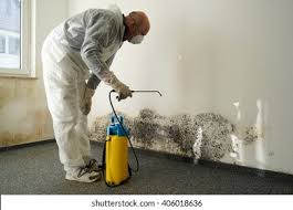 Trusted St Augustine, FL Mold Removal & Remediation Experts